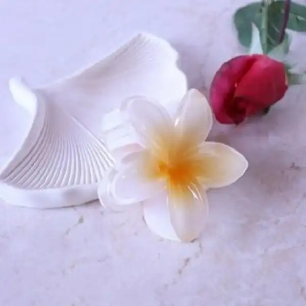 کلیپس مو زنانه مدل گل پلومریا سیران کد np17