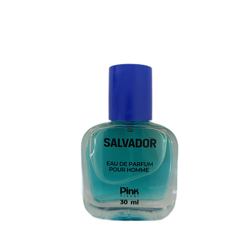 عطر جیبی مردانه پینک ویژوال مدل SALVADOR حجم 30 میلی لیتر عطر جیبی مردانه پینک ویژوال مدل SALVADOR حجم 30 میلی لیتر