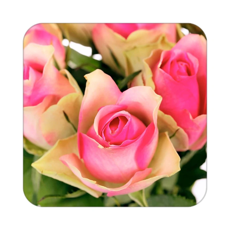 زیر لیوانی کاکتی طرح گل مدل mp17021