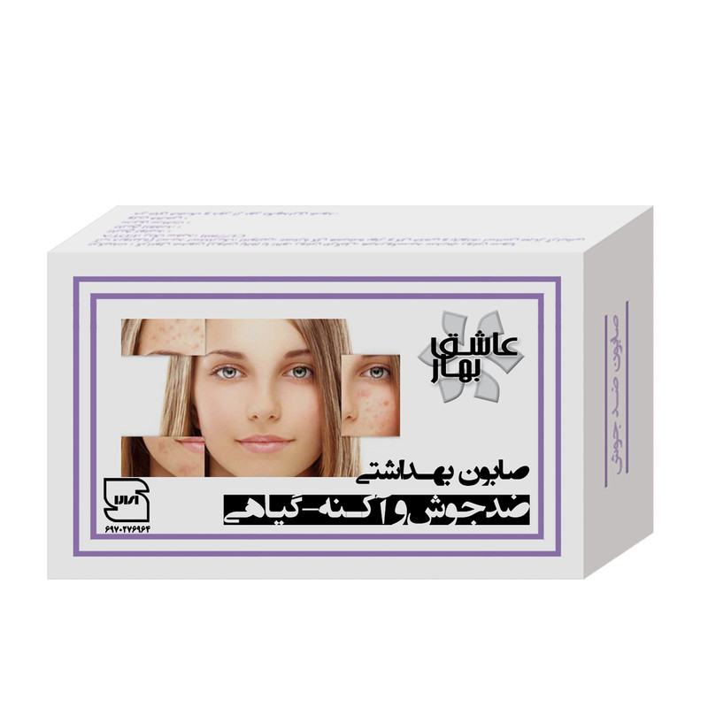 صابون شستشو عاشق بهار مدل ضد جوش وزن 90 گرم صابون شستشو عاشق بهار مدل ضد جوش وزن 90 گرم