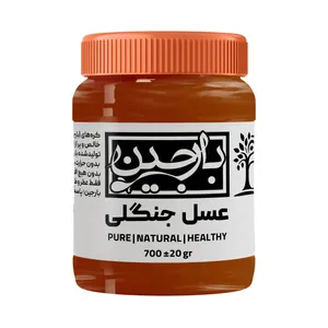 عسل جنگلی عموعطار بارجین _ 700 گرم  