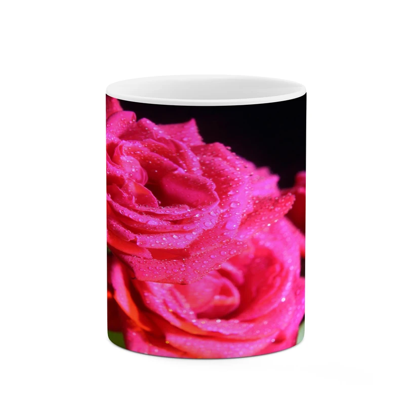 ماگ کاکتی مدل گل رز کد mgh18066