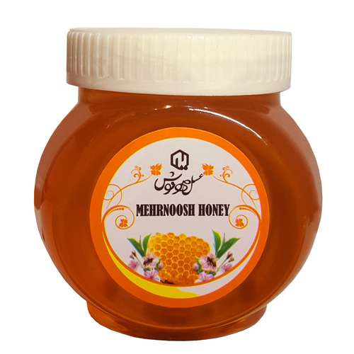 عسل چهل گیاه ممتاز مهرنوش - 500 گرم