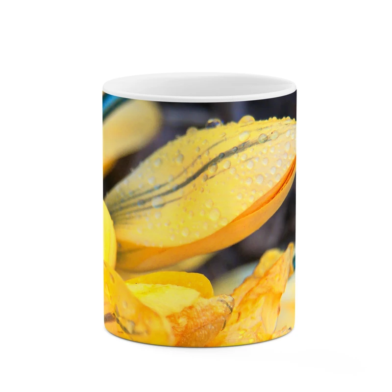 ماگ کاکتی طرح گل کد mgp10465