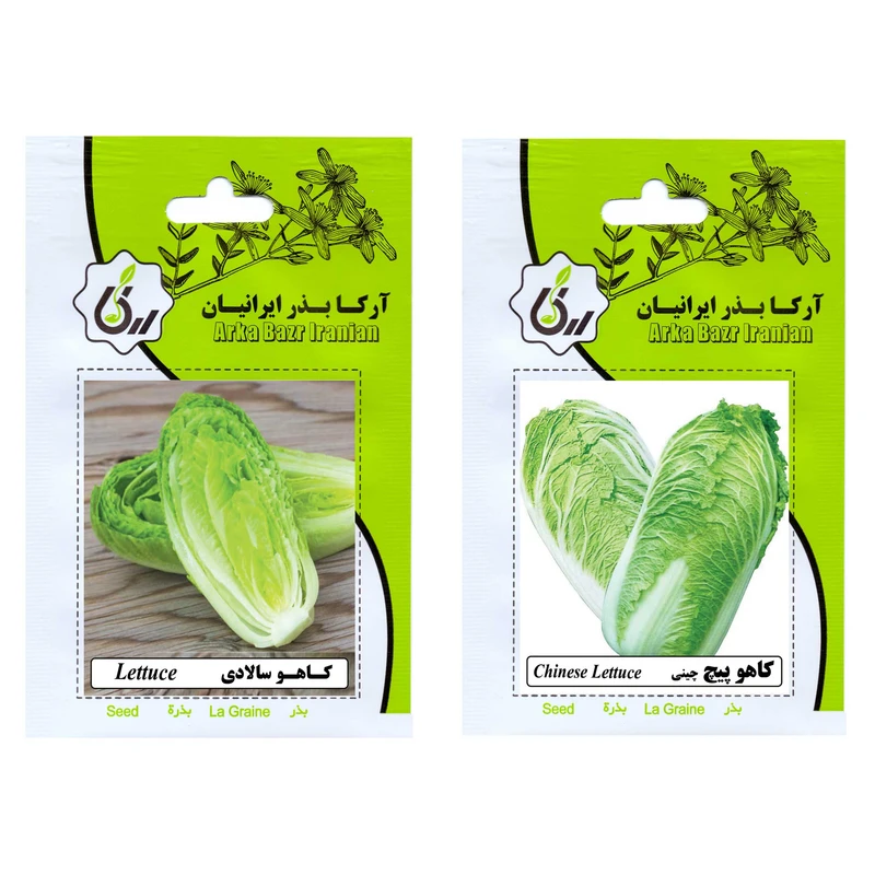 بذر کاهو سالادی و کاهو پیچ چینی آرکا بذر ایرانیان کد ARK-A-ARK-02 وزن 20 گرم مجموعه 2 عددی