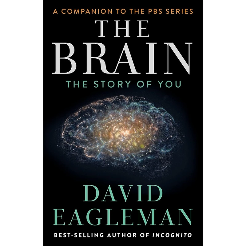 کتاب The Brain اثر David Eagleman انتشارات Pantheon