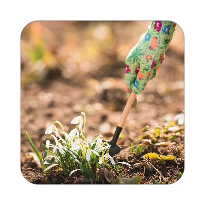 زیر لیوانی کاکتی طرح گل مدل mp17898