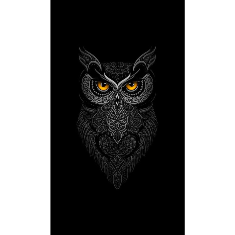 تابلو شاسی مدل دکوراتیو طرح جغد کد 06