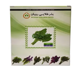 بذر اسفناچ بذر طلایی رویان کد BTR_01