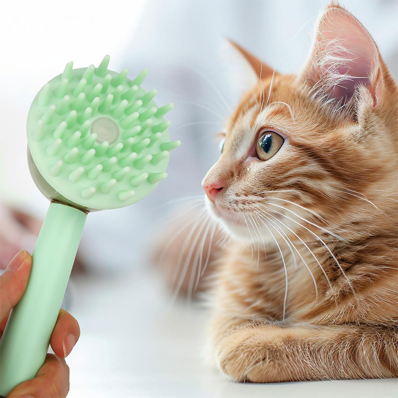برس حمام و ماساژ سگ و گربه مدل Boxob Pet Bath Brush 
