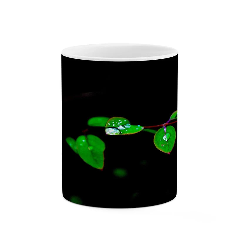 ماگ کاکتی مدل فانتزی کد mgh17727