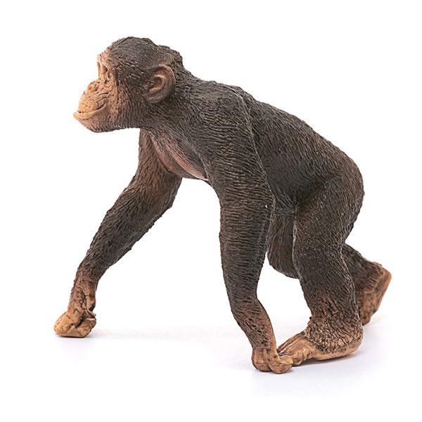 فیگور مدل Chimpanzee male کد 14817
