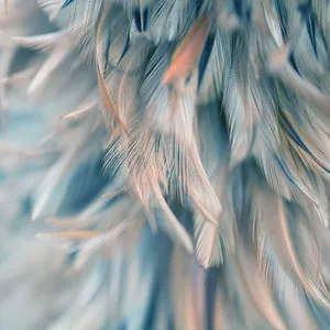 پوستر دیواری مدل mt-83371