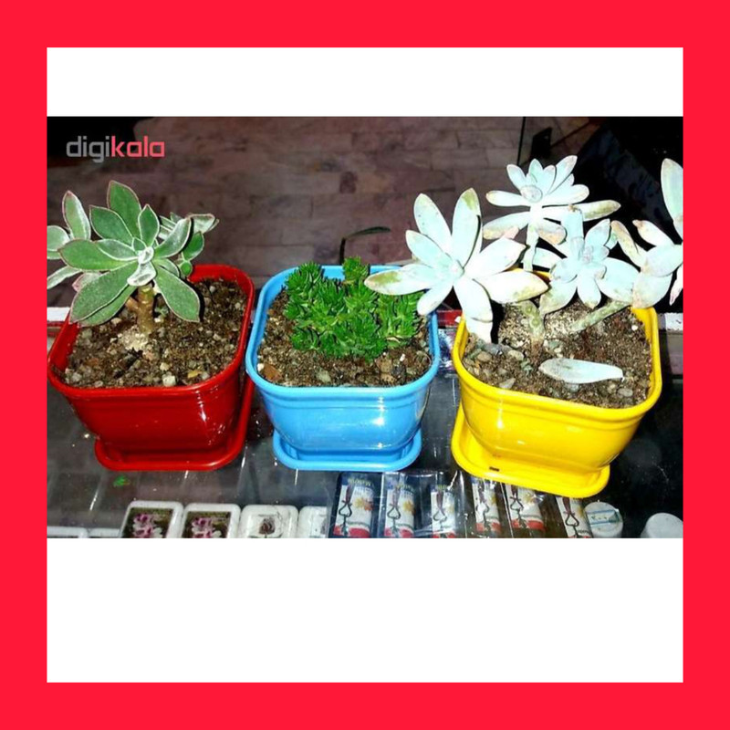 گلدان مدل مربع کد 10cm بسته 9 عددی