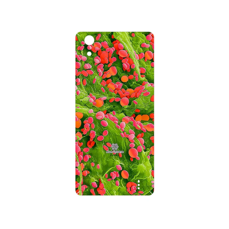 برچسب پوششی ماهوت مدل Atom Universe 3 مناسب برای گوشی موبایل جی ال ایکس Maad