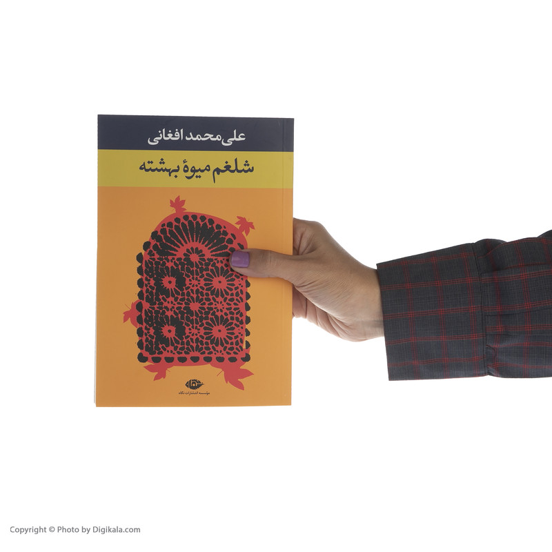 کتاب شلغم میوه بهشته اثر علی محمد افغانی نشر نگاه