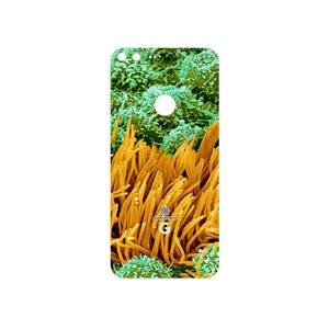 MAHOOT Atom Universe 6 Cover Sticker for Google Pixel XL