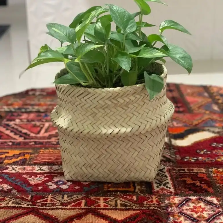 سبد حصیری مدل خمره ای کد 25cm