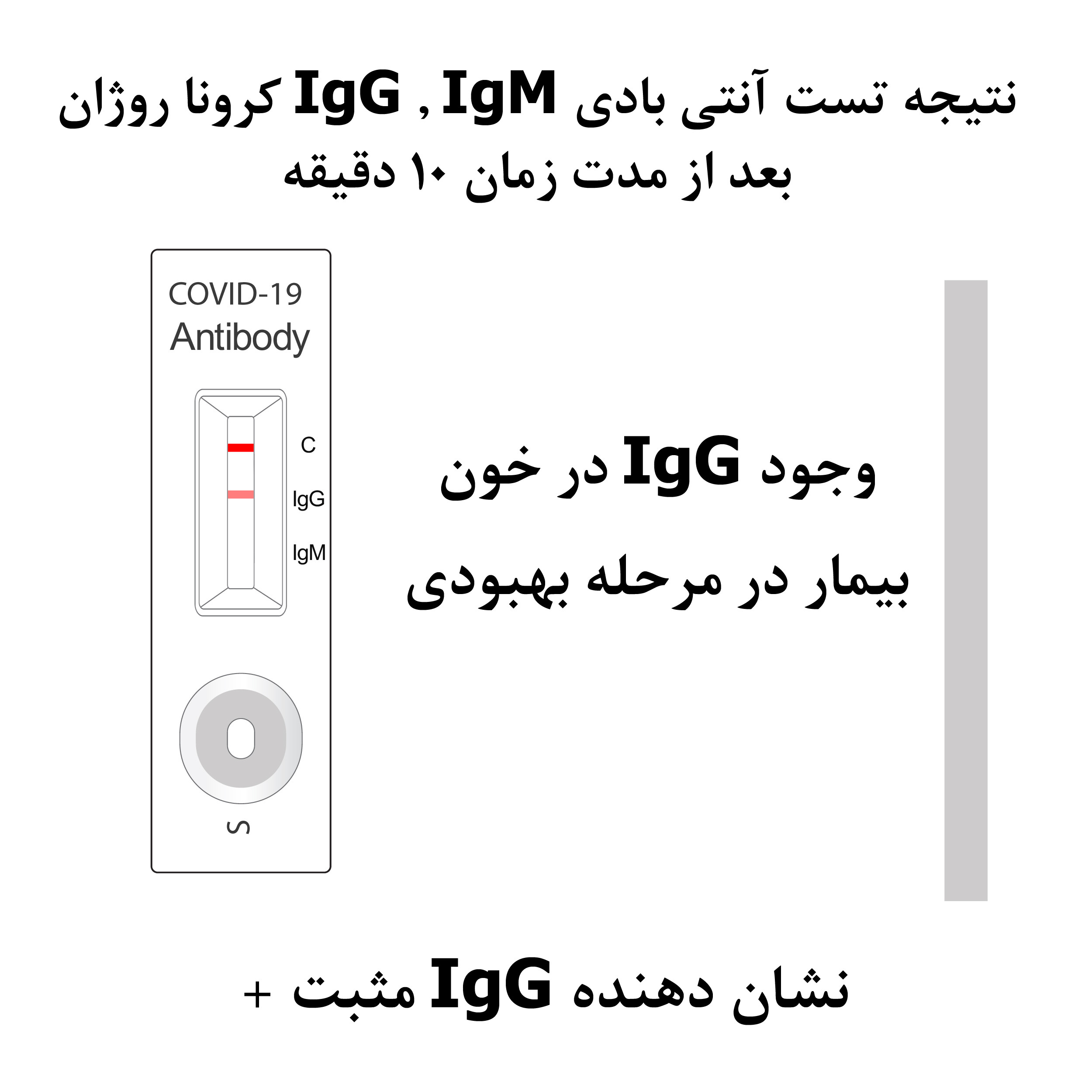 تست سریع آنتی بادی مدل IgG IgM بسته 3 عددی