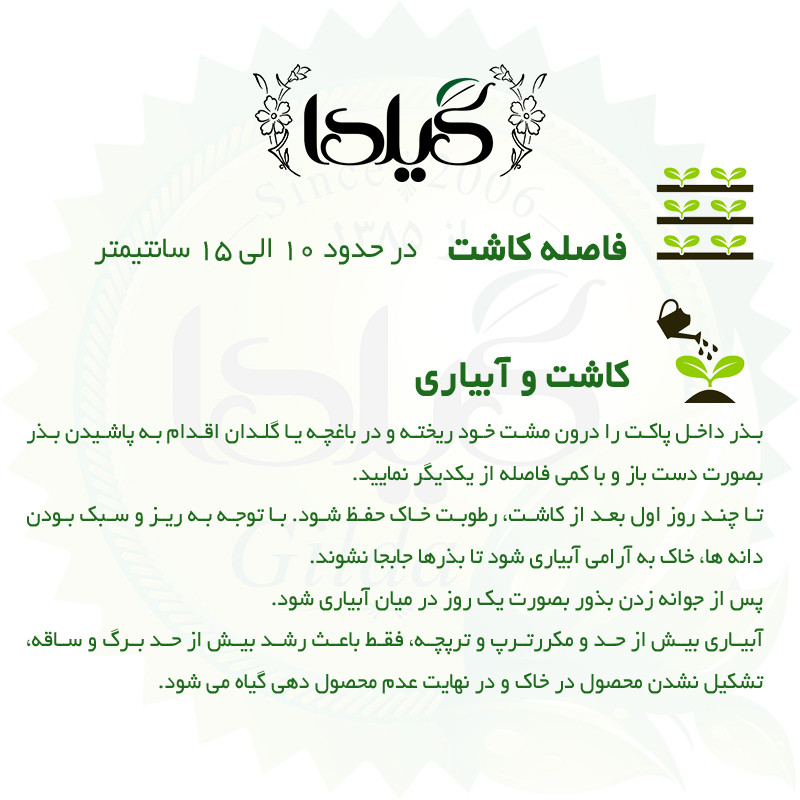 بذر ترپچه گیلدا کد 099 مجموعه 4 عددی