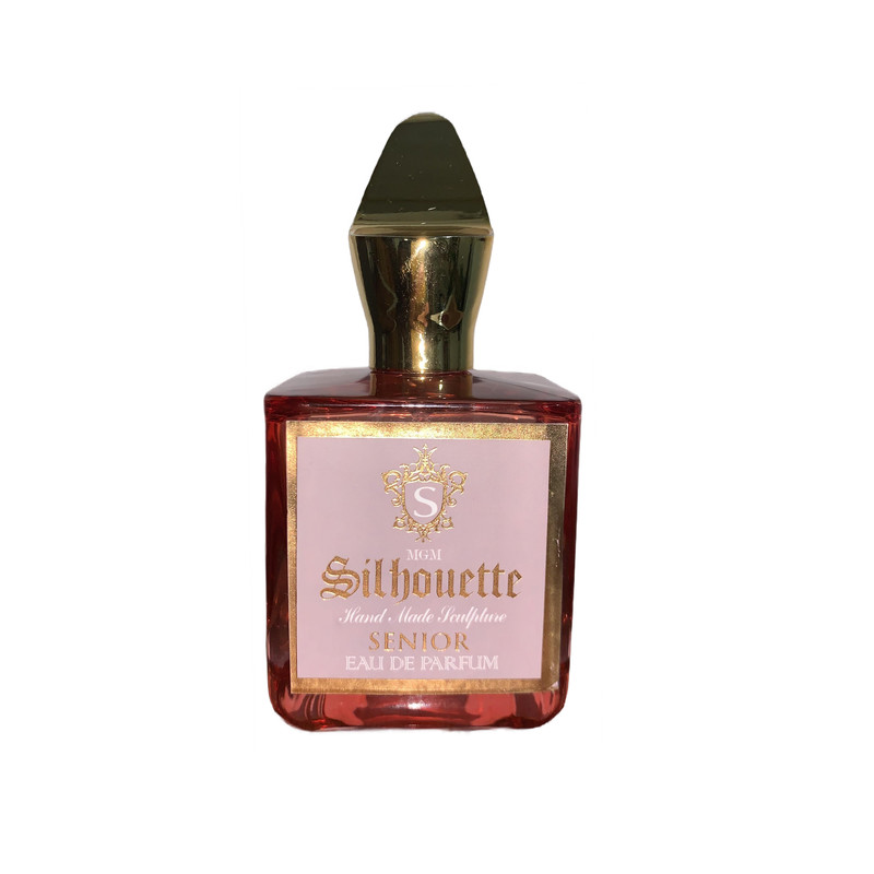 ادو پرفیوم مردانه سیلوئت مدل سینیور حجم 100 میلی لیتر