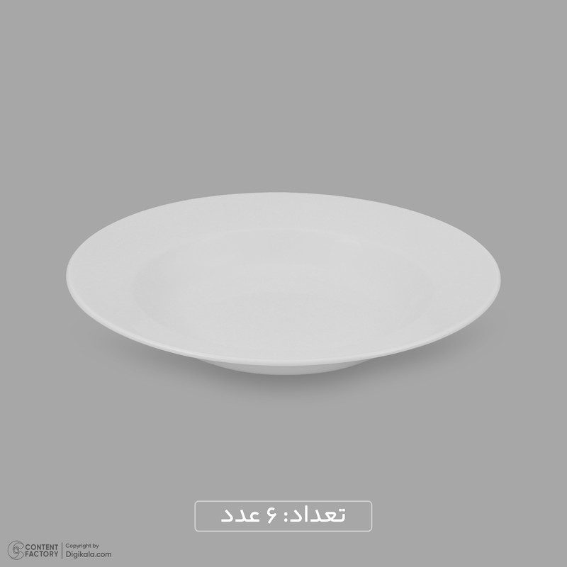 سرویس غذاخوری چینی 25 پارچه 6 نفره مقصود مدل دایره کد 009