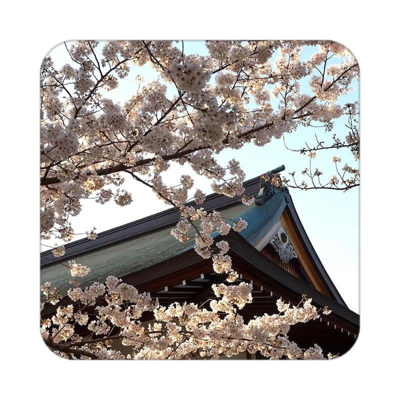 زیر لیوانی کاکتی طرح گل مدل mp18325