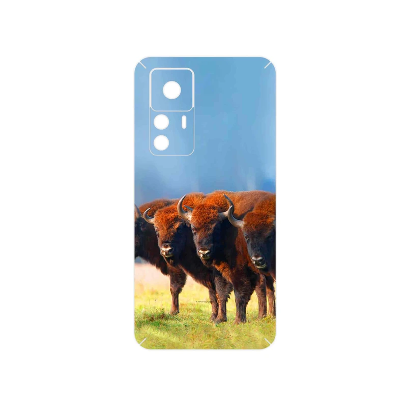 برچسب پوششی ماهوت مدل Buffalo مناسب برای گوشی موبایل شیائومی 12T