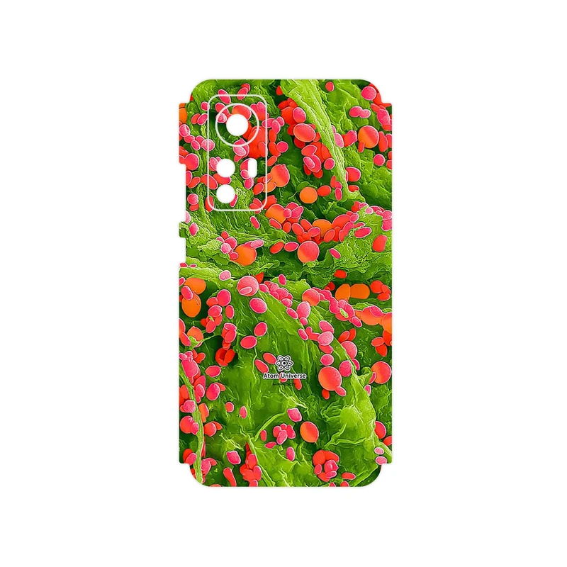 برچسب پوششی ماهوت مدل Atom Universe 3 مناسب برای گوشی موبایل شیائومی 12