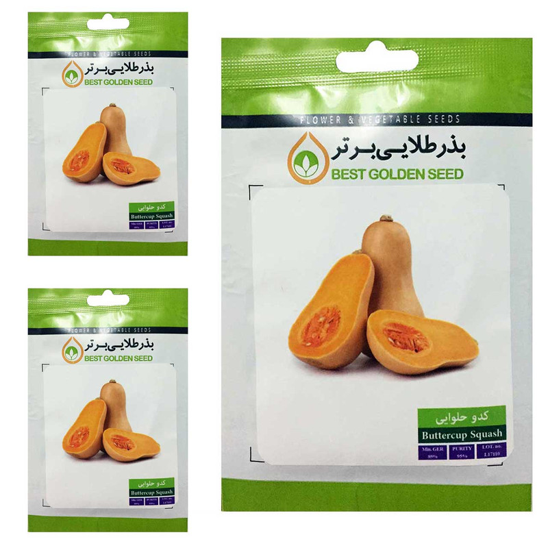 بذر کدو حلوایی بذر طلایی برتر کد BTB-69 مجموعه 3 عددی