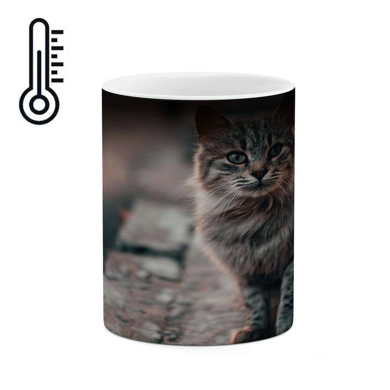 ماگ حرارتی کاکتی مدل گربه کد mgh16777