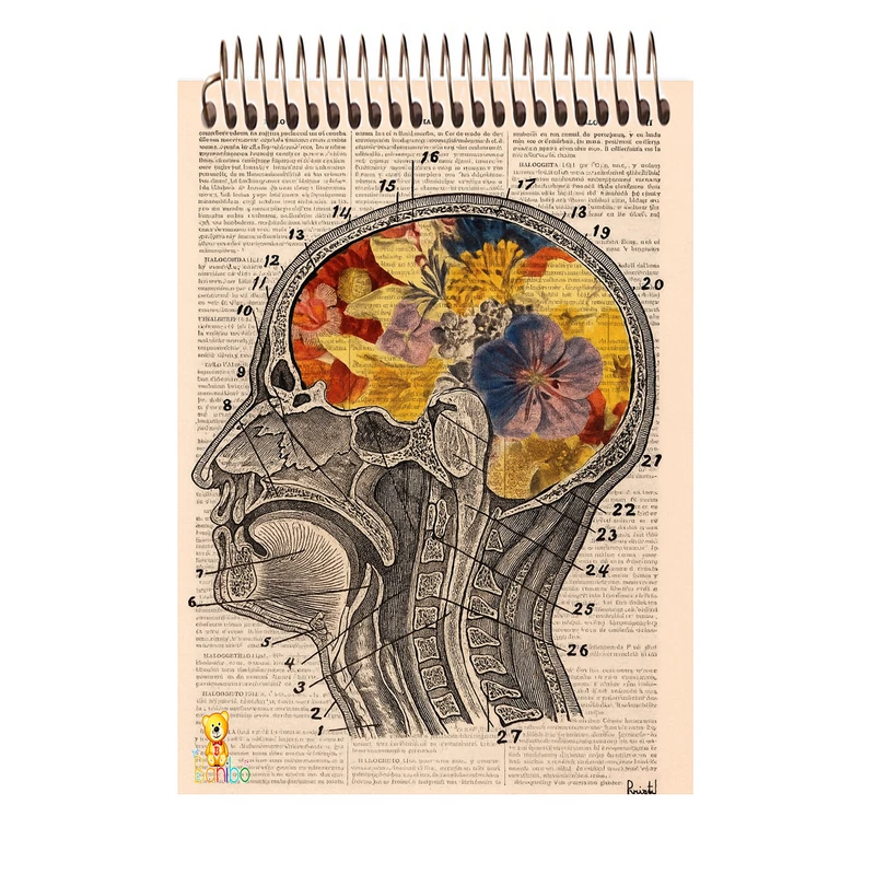 دفتر شطرنجی 100 برگ بانیبو مدل مغز کد 2726