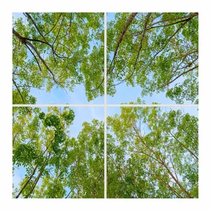 تایل سقفی آسمان مجازی مدل SK-445 سایز 60x60 سانتیمتر بسته 4 عددی