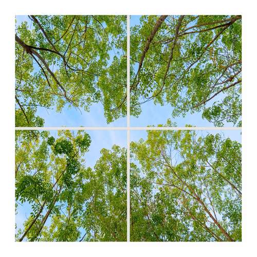 تایل سقفی آسمان مجازی مدل SK-445 سایز 60x60 سانتیمتر بسته 4 عددی