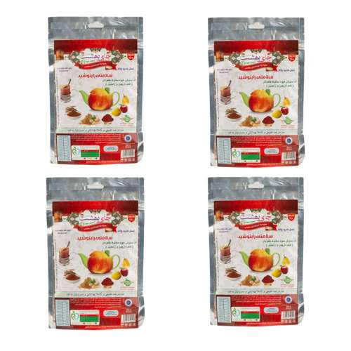 دمنوش میوه ای با طعم زنجبیل و دارچین چای بهشت- 200 گرم مجموعه 4 عددی