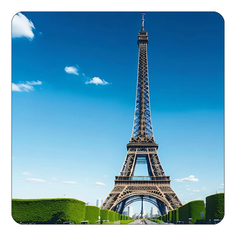 مگنت کاکتی طرح پاریس Paris مدل mp56834