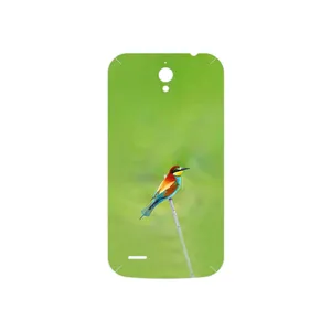 MAHOOT European bee-eater Cover Sticker for Huawei Ascend G610
