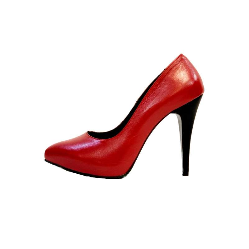 کفش زنانه مدل دالین لژدار
