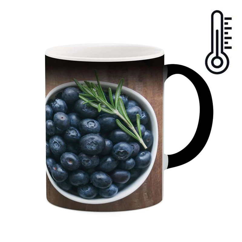 ماگ حرارتی کاکتی مدل تمشک کد mgh16600