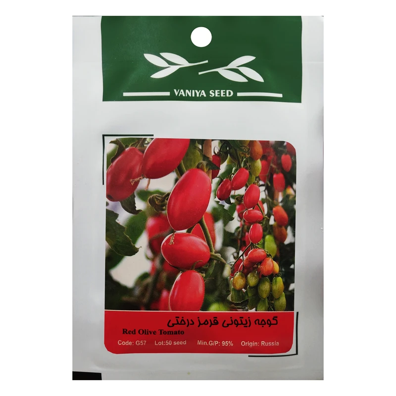بذر گوجه زیتونی قرمز درختی وانیا سید مدل G57