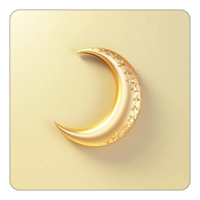 مگنت کاکتی طرح ماه و ستاره مدل mp53020