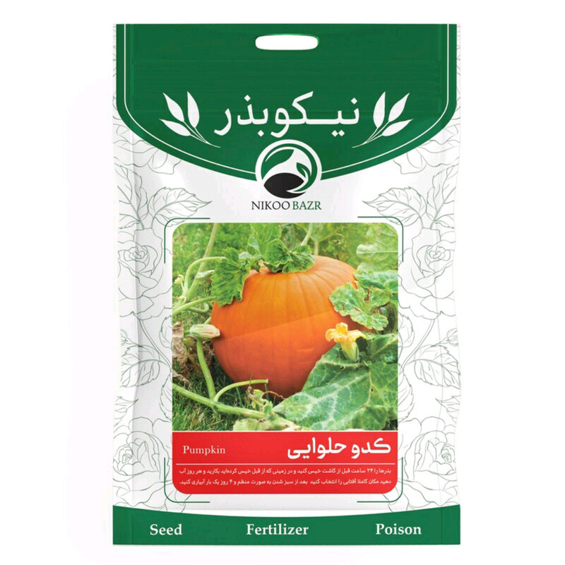 بذر کدو حلوایی نیکو بذر مدل 052