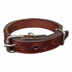 قلاده سگ مدل چرمی گردنی