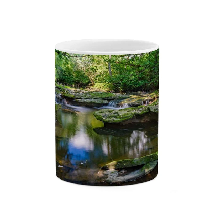 ماگ کاکتی مدل منظره کد mgh13167