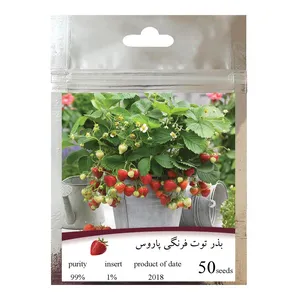 بذر توت فرنگی پاروس مدل GL05