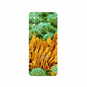 MAHOOT Atom Universe 6 Cover Sticker for Motorola Moto E13