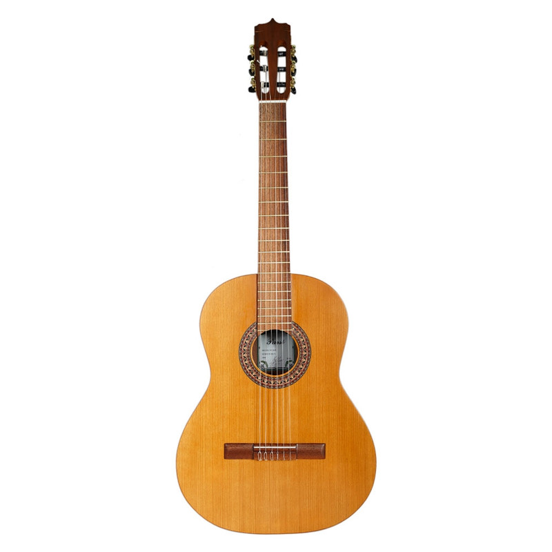 گیتار کلاسیک پارسی مدل K90