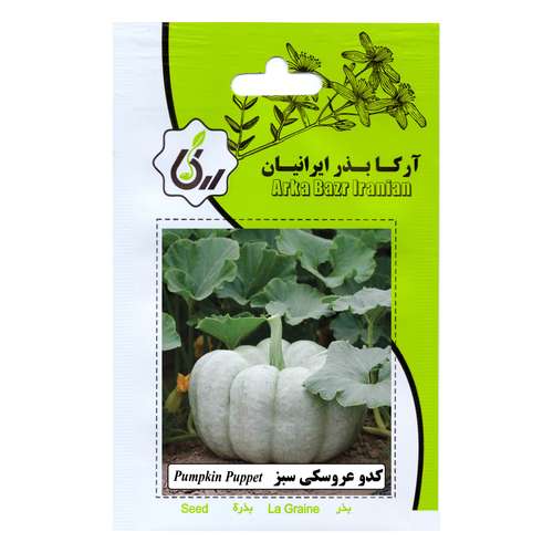 بذر کدو عروسکی سبز آرکا بذر ایرانیان کد 181-ARK