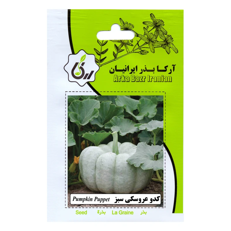 بذر کدو عروسکی سبز آرکا بذر ایرانیان کد 181-ARK