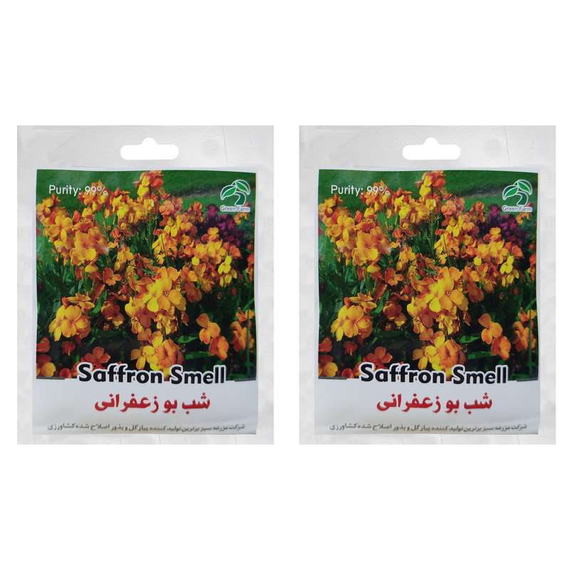 بذر شب بو زعفرانی گرین فارم کد XD 6 بسته 2 عددی
